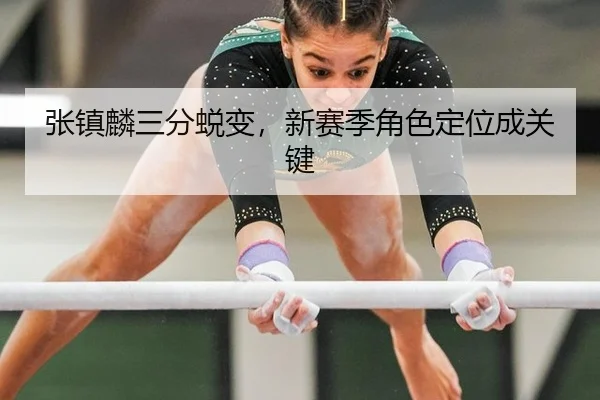 张镇麟三分蜕变，新赛季角色定位成关键