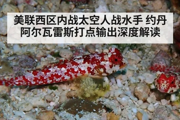 美联西区内战太空人战水手 约丹阿尔瓦雷斯打点输出深度解读