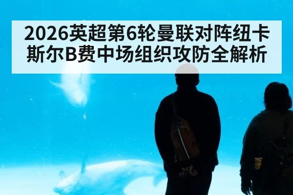 2026英超第6轮曼联对阵纽卡斯尔B费中场组织攻防全解析